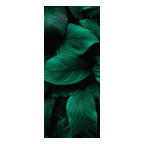  Termoarredo idraulico 180x74 cm interasse mm 50 Modello 'Leaf' Termocrea