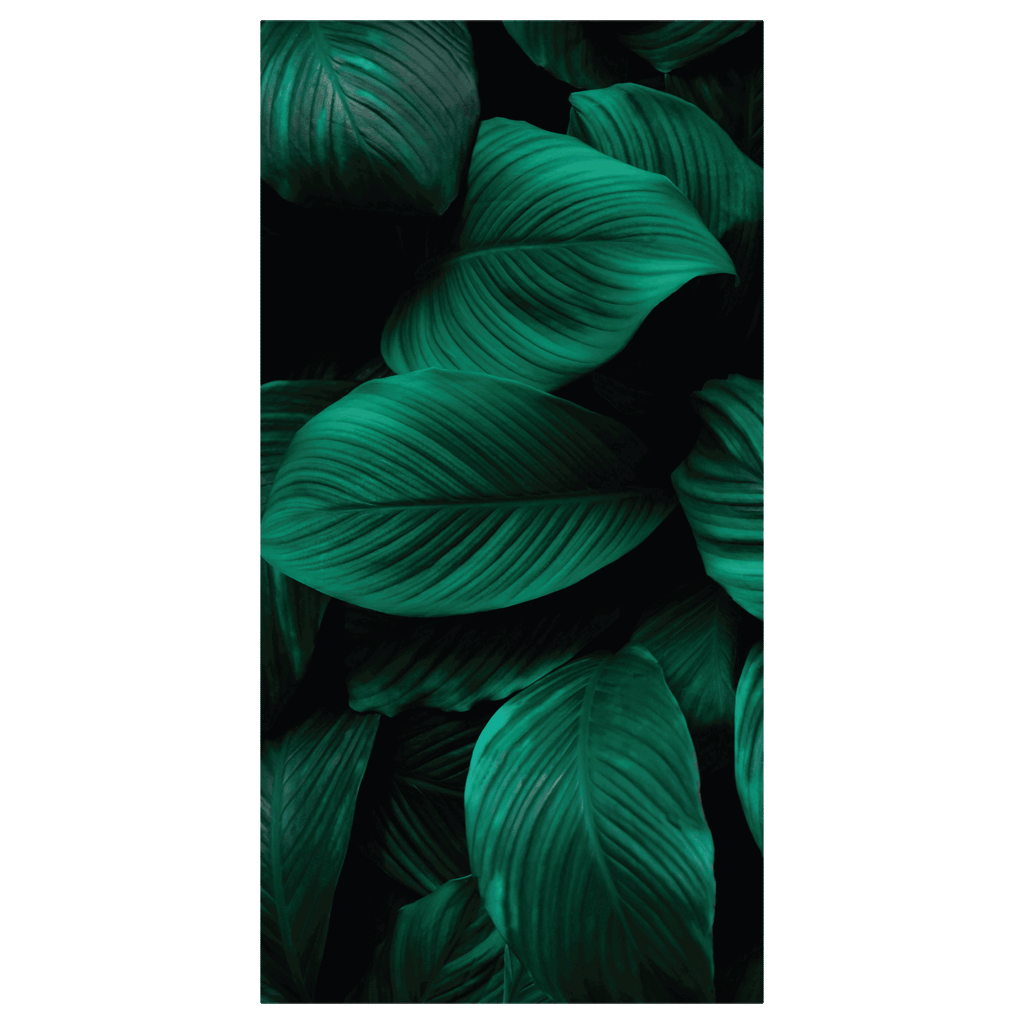  Termoarredo idraulico 120x59 cm interasse mm 50 Modello 'Leaf' Termocrea